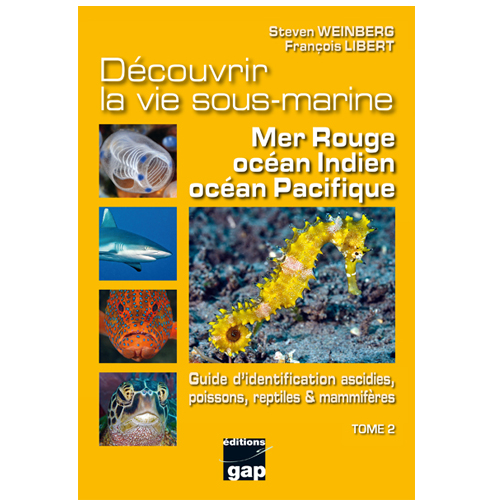 Découvrir la vie sous-marine Mer Rouge Océans Indien