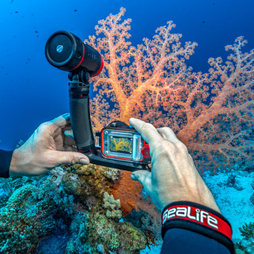 Caméra Sealife Reef Master RM-4K